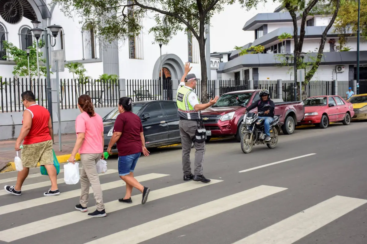 Transporte Público - Servicios y trámites
